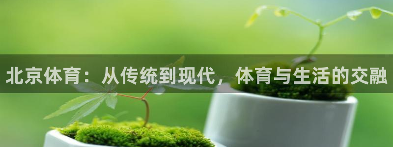 北京体育：从传统到现代，体育与生活的交融