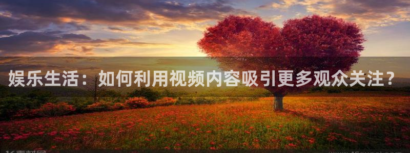 娱乐生活：如何利用视频内容吸引更多观众关注？