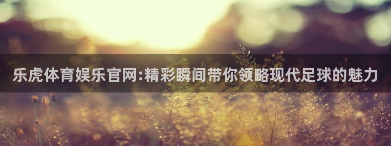 乐虎体育娱乐官网:精彩瞬间带你领略现代足球的魅力