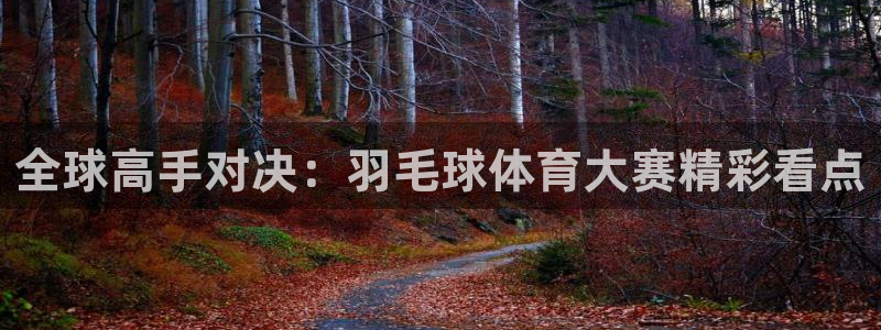 全球高手对决：羽毛球体育大赛精彩看点