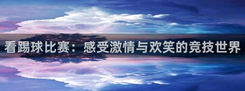 看踢球比赛：感受激情与欢笑的竞技世界