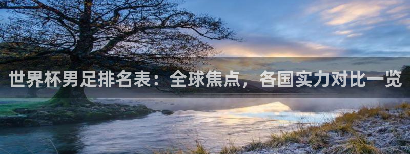 世界杯男足排名表：全球焦点，各国实力对比一览