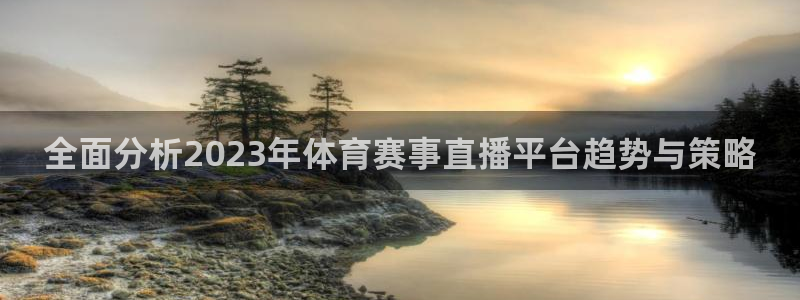 全面分析2023年体育赛事直播平台趋势与策略