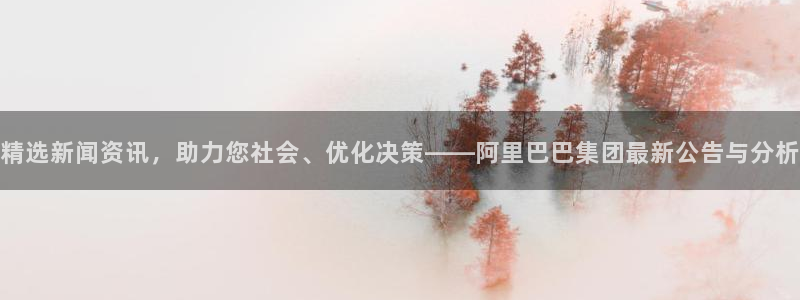 精选新闻资讯，助力您社会、优化决策——阿里巴巴集团最新公告与分析