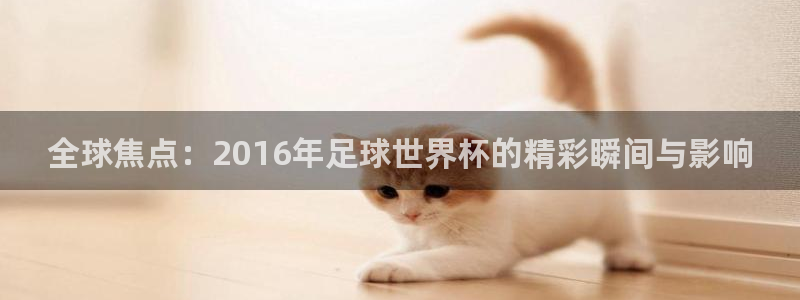 全球焦点：2016年足球世界杯的精彩瞬间与影响