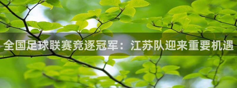 全国足球联赛竞逐冠军：江苏队迎来重要机遇