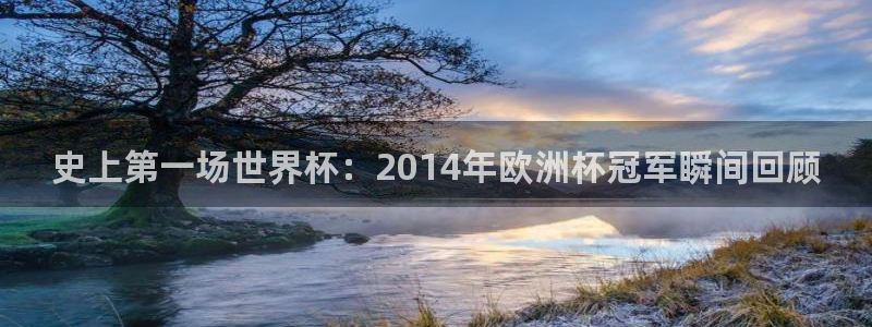 史上第一场世界杯：2014年欧洲杯冠军瞬间回顾