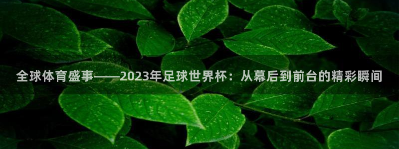 全球体育盛事——2023年足球世界杯：从幕后到前台的精彩瞬间