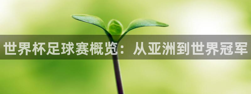 世界杯足球赛概览：从亚洲到世界冠军