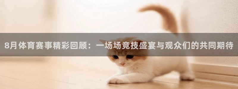 8月体育赛事精彩回顾：一场场竞技盛宴与观众们的共同期待