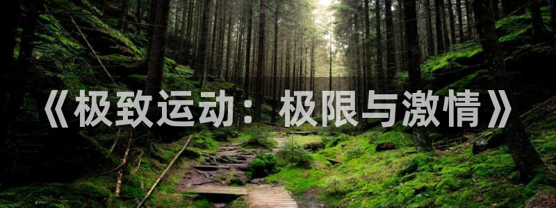 《极致运动：极限与激情》