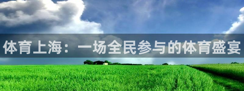 体育上海：一场全民参与的体育盛宴