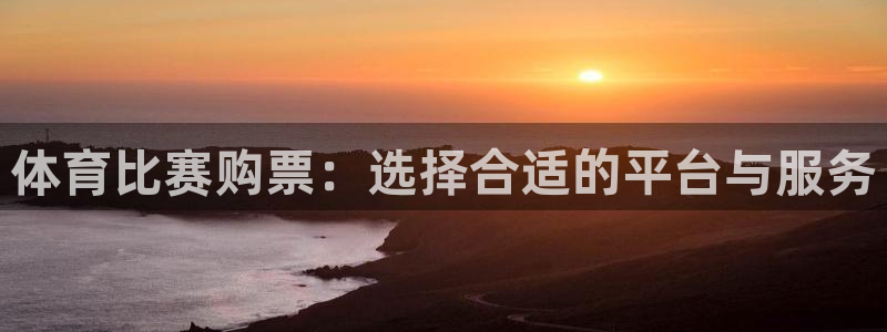 体育比赛购票：选择合适的平台与服务