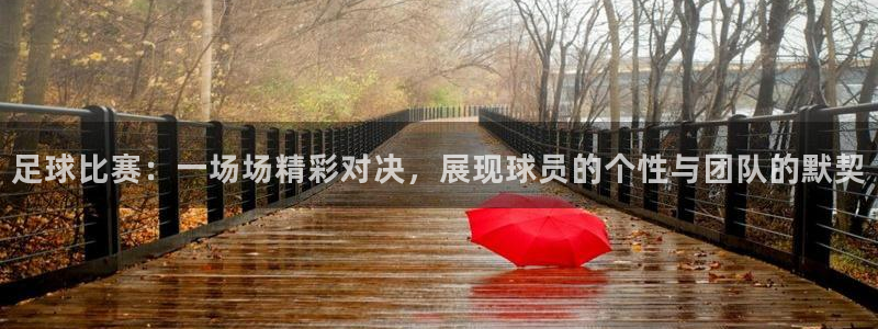 足球比赛：一场场精彩对决，展现球员的个性与团队的默契