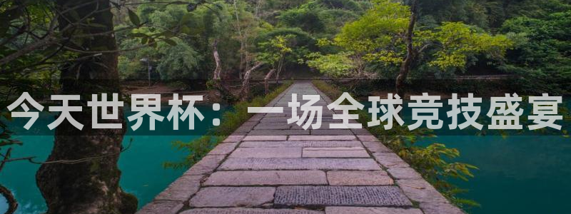 今天世界杯：一场全球竞技盛宴