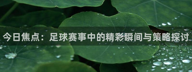 今日焦点：足球赛事中的精彩瞬间与策略探讨