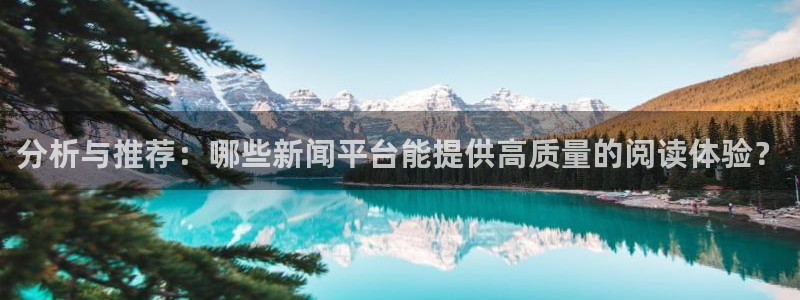 分析与推荐：哪些新闻平台能提供高质量的阅读体验？