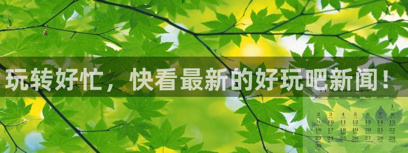 玩转好忙，快看最新的好玩吧新闻！